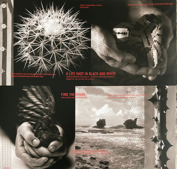 Simple Minds : Black & White 050505 (LP, Album, RE, Whi)