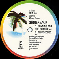 Shriekback : Gunning For The Buddha (12")