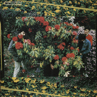 Sneaky Feelings : Sentimental Education (LP, Album)