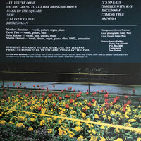 Sneaky Feelings : Sentimental Education (LP, Album)