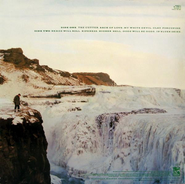 Echo & The Bunnymen : Porcupine (LP, Album)