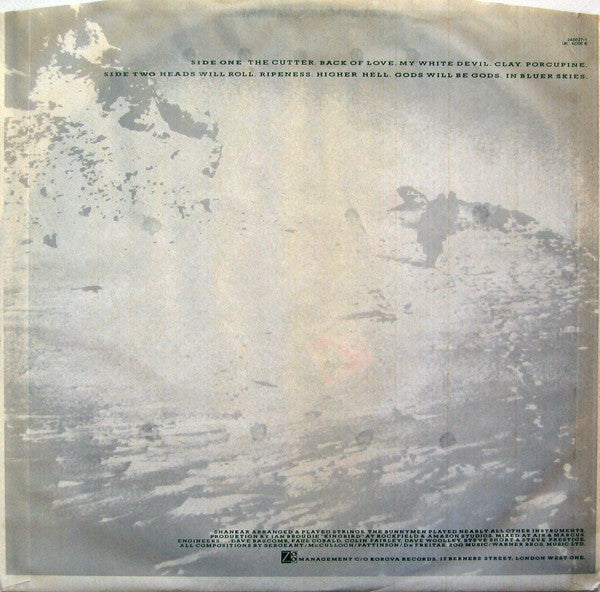 Echo & The Bunnymen : Porcupine (LP, Album)