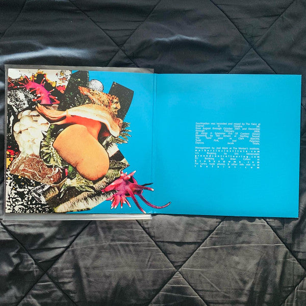 The Faint : Fasciinatiion (2xLP, Album)
