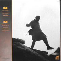 Bruce Cockburn : World Of Wonders (LP, Album)