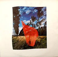 Pink Floyd : Wish You Were Here (LP, Album, RP)