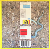 Laura Jane Grace And The Devouring Mothers : Bought To Rot (LP, Album, Cle)