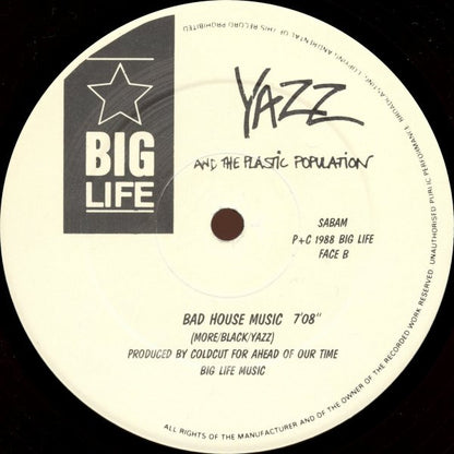 Yazz And The Plastic Population : The Only Way Is Up (12", Maxi)