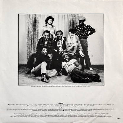 Muddy Waters : Hard Again (LP, Album)