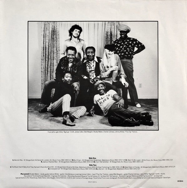 Muddy Waters : Hard Again (LP, Album)