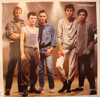 The Boomtown Rats : In The Long Grass (LP, Album)