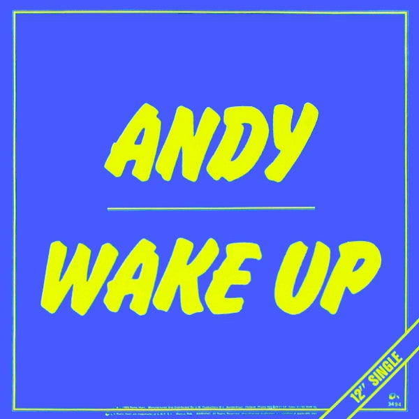 Andy (3) : Wake Up (12")