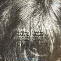 Phil Collins : Face Value (LP, Album, Gat)