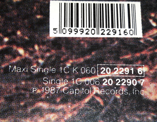 Joe Cocker : A Woman Loves A Man (Extended Remix) (12", Maxi)