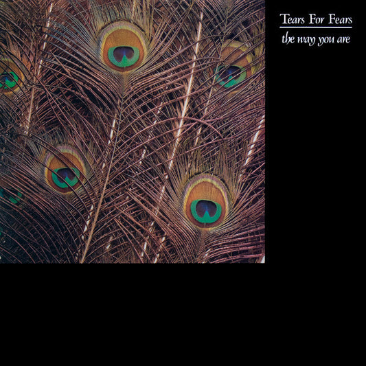 Tears For Fears : The Way You Are (12", Single)