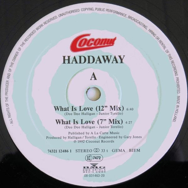 Haddaway : What Is Love (12", Maxi)