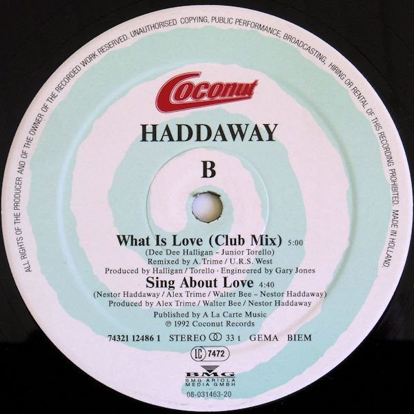 Haddaway : What Is Love (12", Maxi)