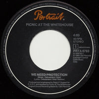 Picnic At The Whitehouse : We Need Protection (7", Single)