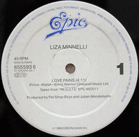 Liza Minnelli : Love Pains (12", Maxi)