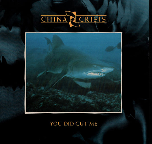 China Crisis : You Did Cut Me (12", Single)