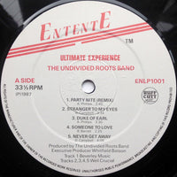 Undivided Roots : Ultimate Experience (LP, Album)