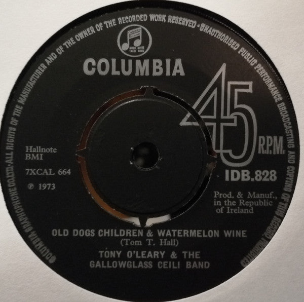 Tony O'Leary (3) and the Gallowglass Ceili Band : Old Dogs Children & Watermelon Wine (7", Single)