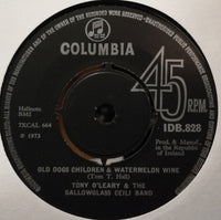 Tony O'Leary (3) and the Gallowglass Ceili Band : Old Dogs Children & Watermelon Wine (7", Single)