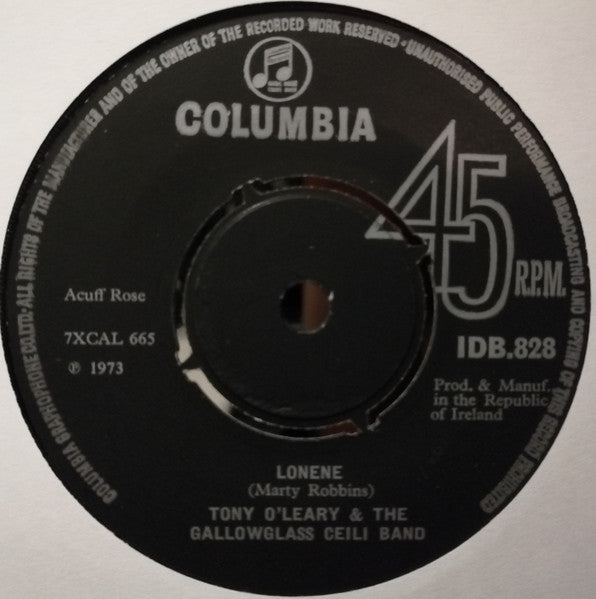 Tony O'Leary (3) and the Gallowglass Ceili Band : Old Dogs Children & Watermelon Wine (7", Single)