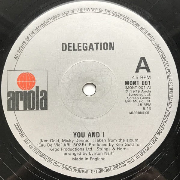 Delegation : You And I / Put A Little Love On Me (12", Single)