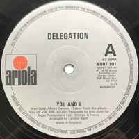 Delegation : You And I / Put A Little Love On Me (12", Single)