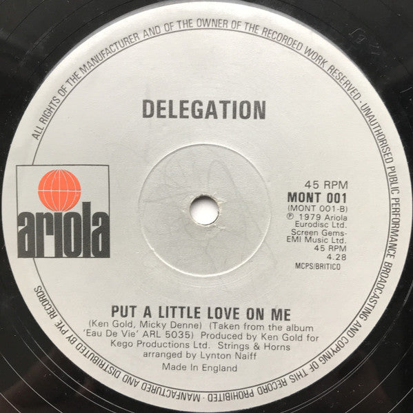 Delegation : You And I / Put A Little Love On Me (12", Single)