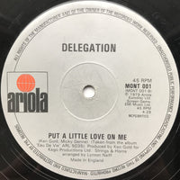 Delegation : You And I / Put A Little Love On Me (12", Single)