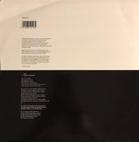 Peter Gabriel : Biko (12")