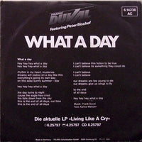 Frank Duval Featuring Peter Bischof : What A Day (7", Single)