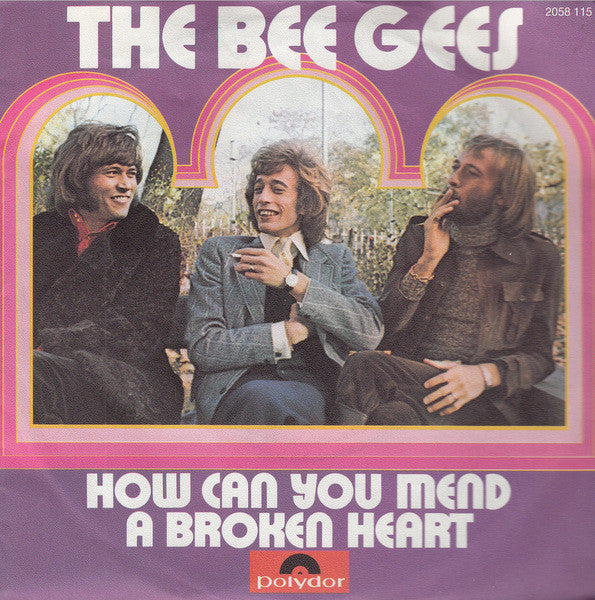 The Bee Gees* : How Can You Mend A Broken Heart (7", Single, Pap)
