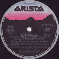 Whitney Houston : Didn't We Almost Have It All (12", Maxi)