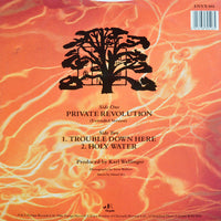 World Party : Private Revolution (12")