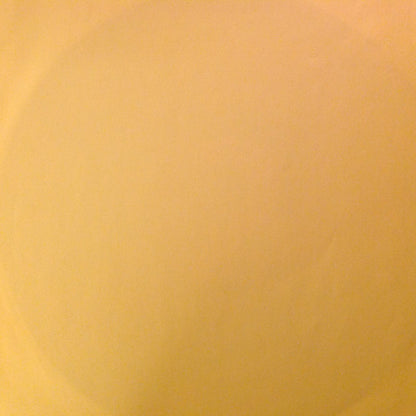 Paul McCartney : Flowers In The Dirt (LP, Album)