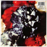 Oasis (2) : Don't Look Back In Anger (7", Single)