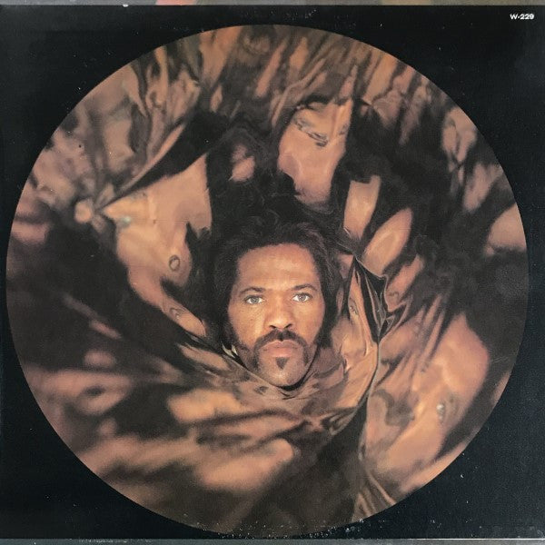 Fuzzy Haskins : A Whole Nother Thang (LP, Album, Pit)