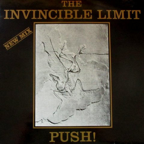 The Invincible Limit : Push! (New Mix) (12", Maxi)