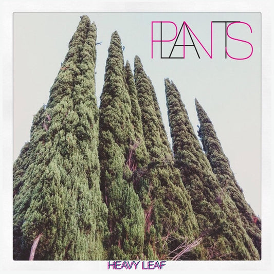 Plants (5) : Heavy Leaf (10", EP, Gre)