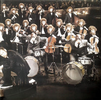 Peter Fox (2) : Stadtaffe (2xLP, Album)