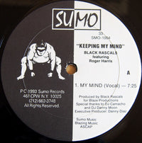 Black Rascals Featuring Roger Harris (3) : Keeping My Mind (12")