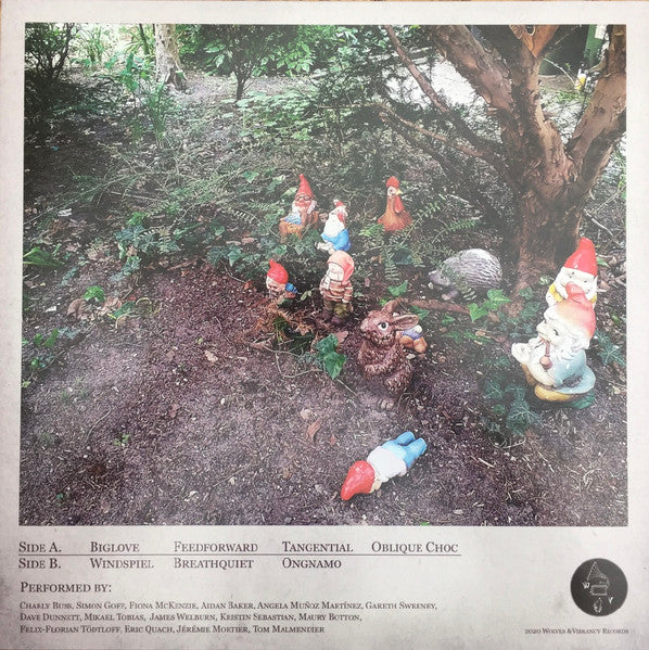 Hypnodrone Ensemble : Gets Polyamorous (LP, Album, Spl)