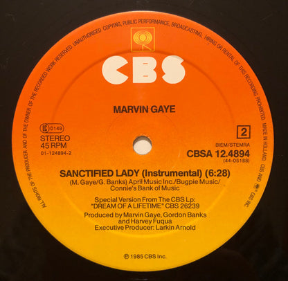 Marvin Gaye : Sanctified Lady (12", Maxi)