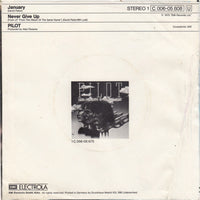 Pilot : January (7", Single)
