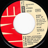 Pilot : January (7", Single)