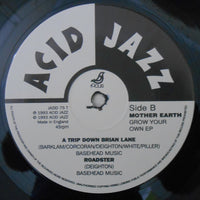 Mother Earth : Grow Your Own EP (12", EP)
