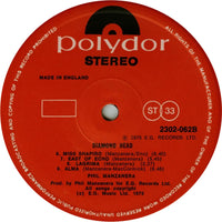 Phil Manzanera : Diamond Head (LP, Album, RE)