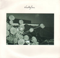 Whiskeytown : Theme For A Trucker (2x7", EP, Ltd)